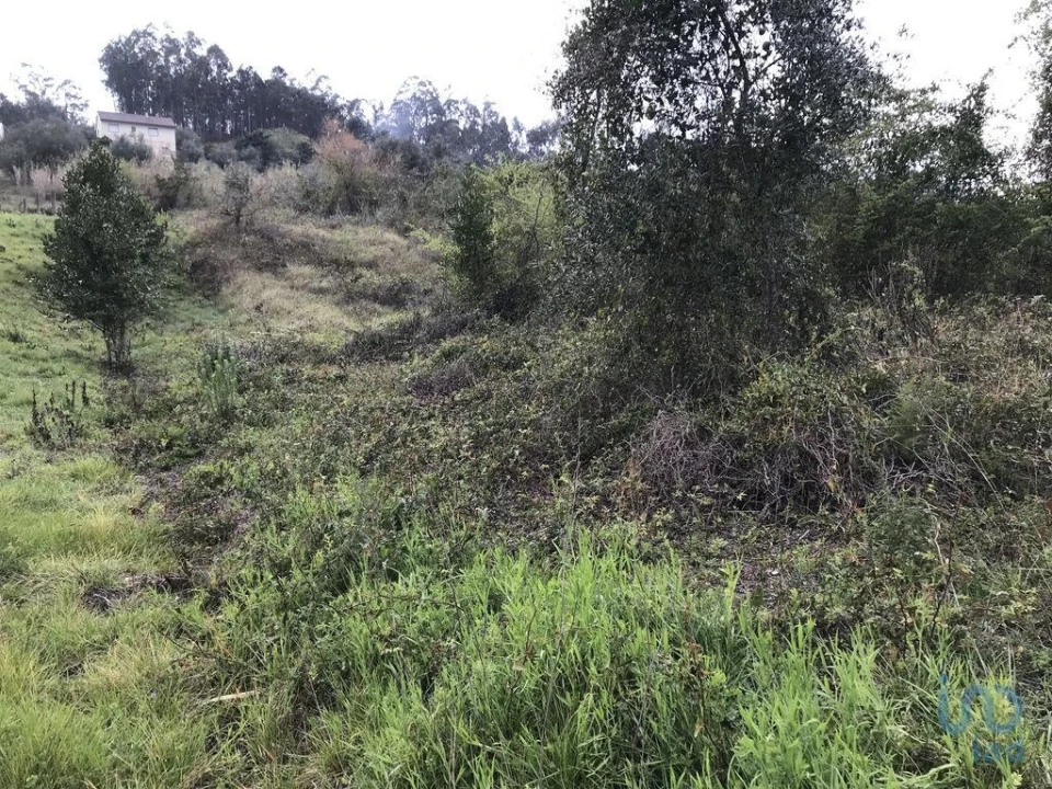 Terreno para Venda em Santiago e São Simão de Litém e Albergaria dos Doze Foto 10