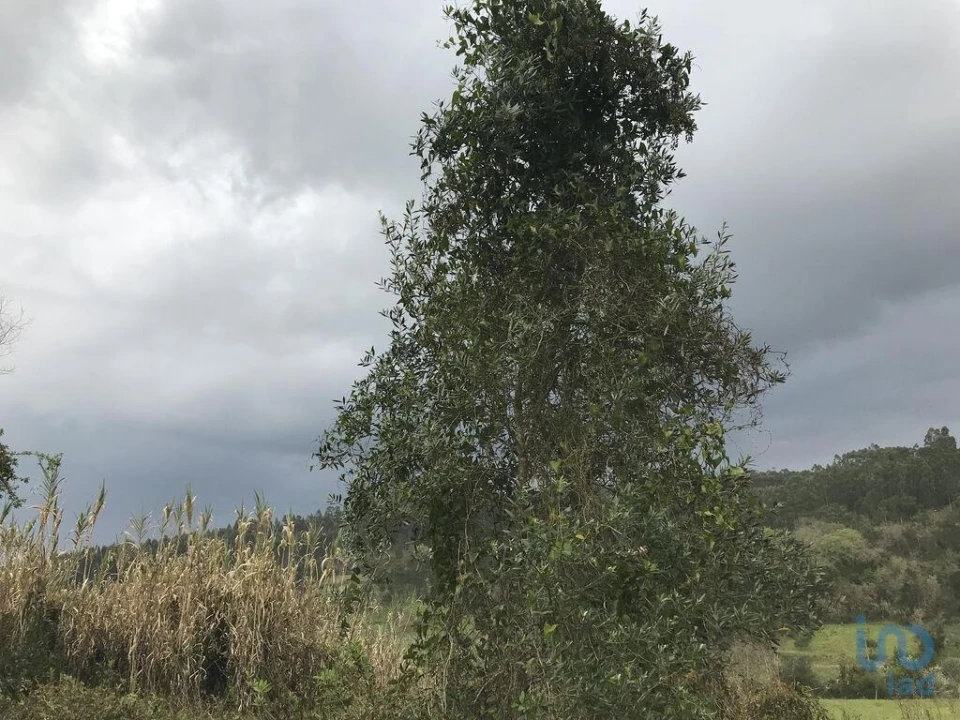 Terreno para Venda em Santiago e São Simão de Litém e Albergaria dos Doze Foto 2