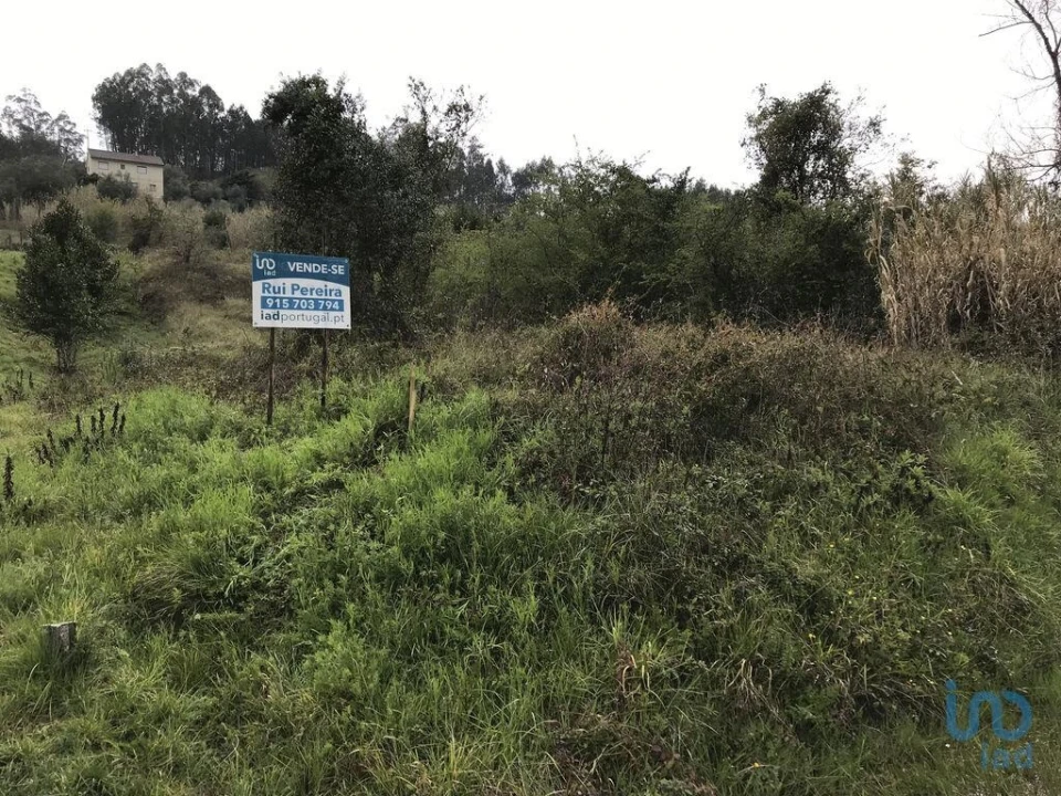 Terreno para Venda em Santiago e São Simão de Litém e Albergaria dos Doze Foto 7