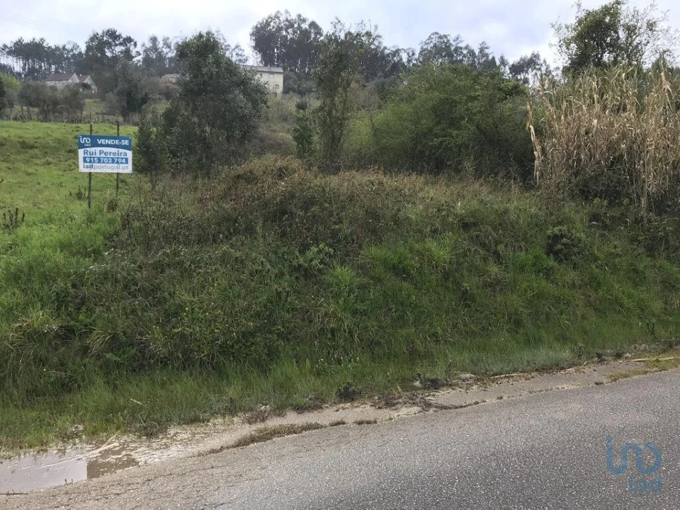 Terreno para Venda em Santiago e São Simão de Litém e Albergaria dos Doze Foto 3