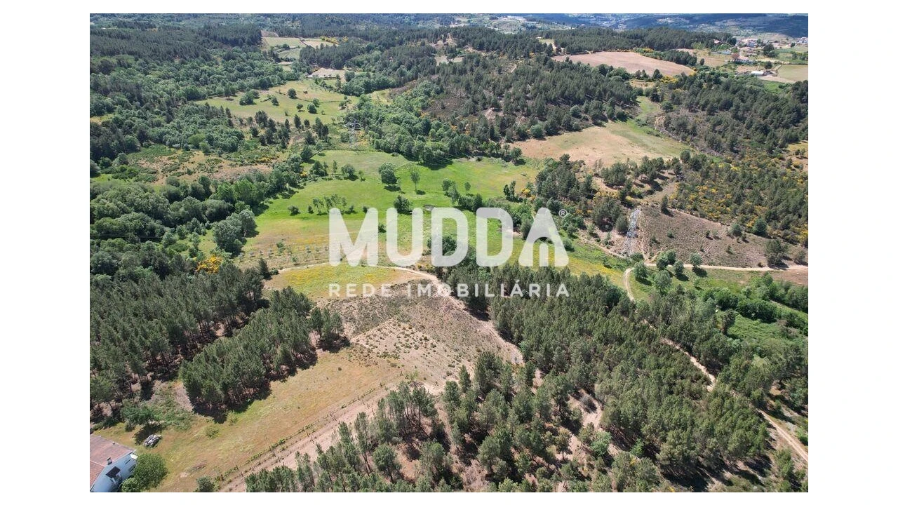Terreno para Venda em São Pedro de Agostem Foto 2