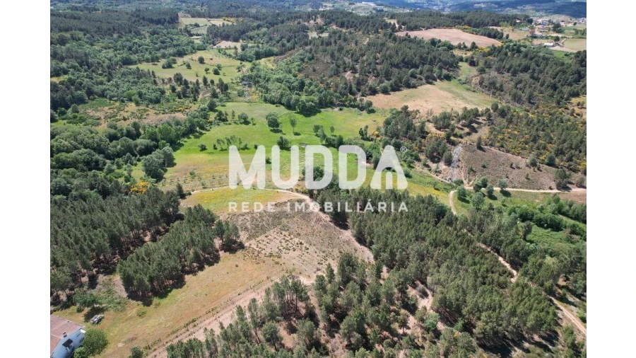 Terreno para Venda em São Pedro de Agostem Foto 2