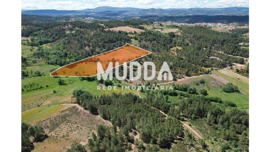 Terreno para Venda em São Pedro de Agostem