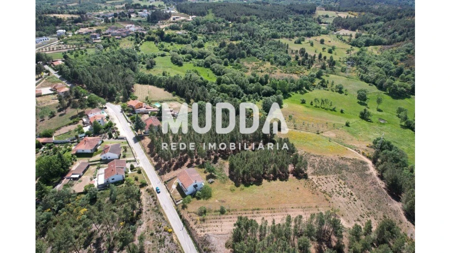 Terreno para Venda em São Pedro de Agostem Foto 3