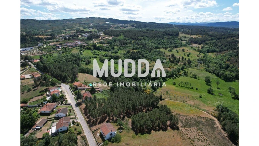 Terreno para Venda em São Pedro de Agostem Foto 4