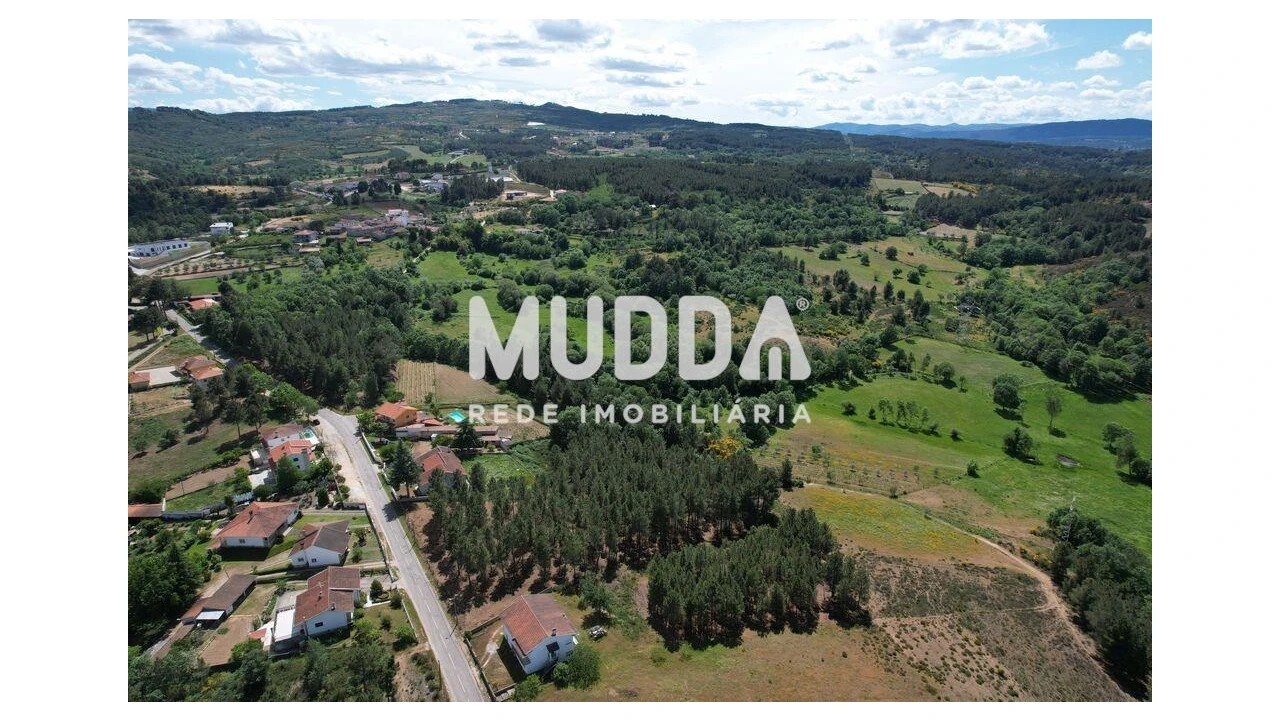 Terreno para Venda em São Pedro de Agostem Foto 4