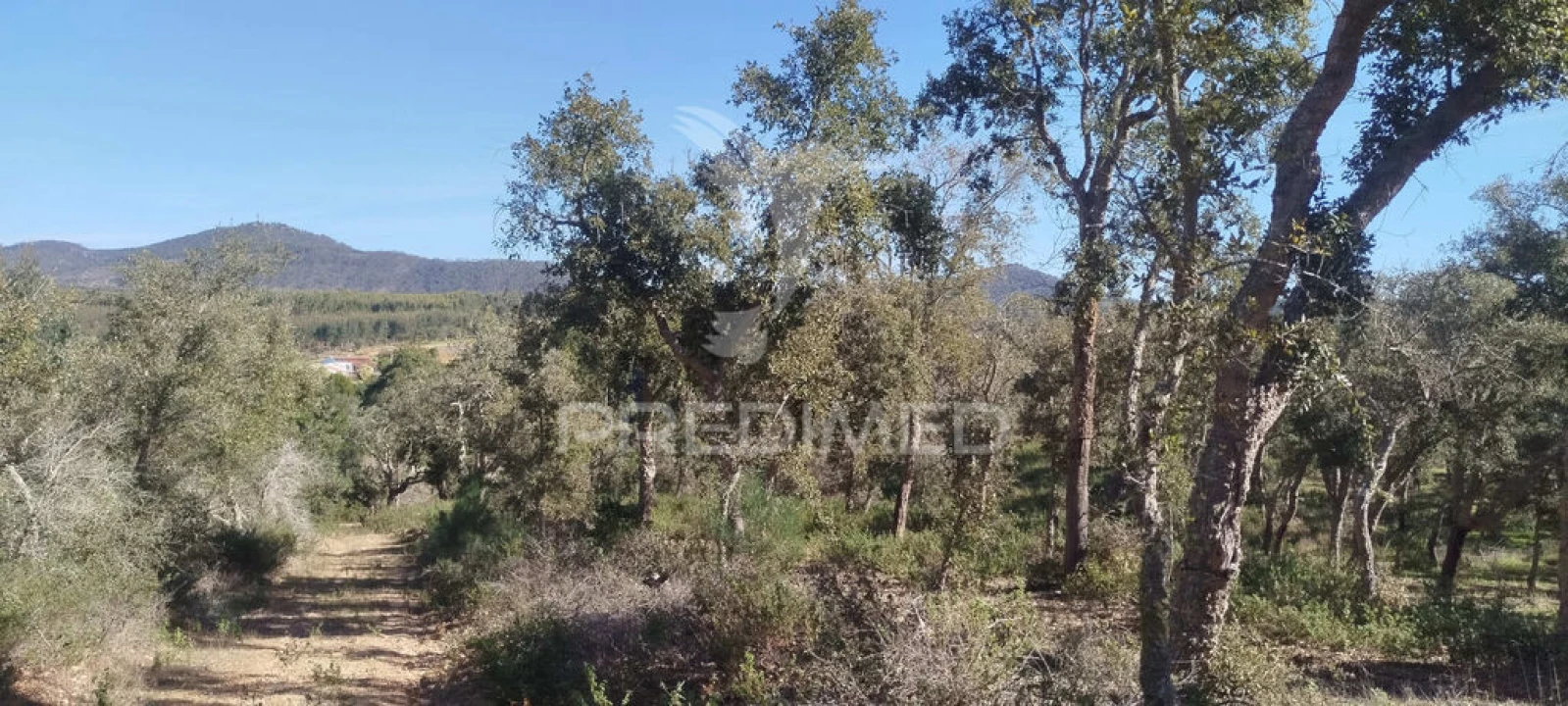 Terreno para Venda em São Francisco da Serra Foto 1