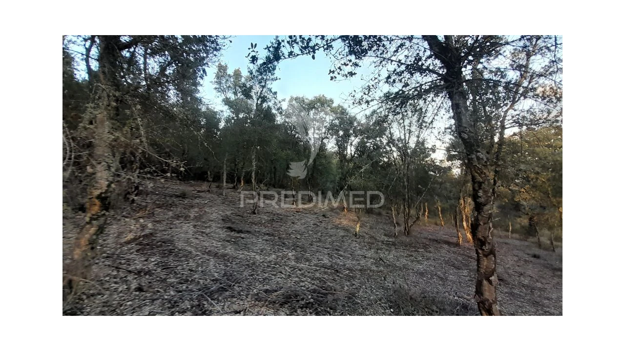 Terreno para Venda em Pero Viseu Foto 19