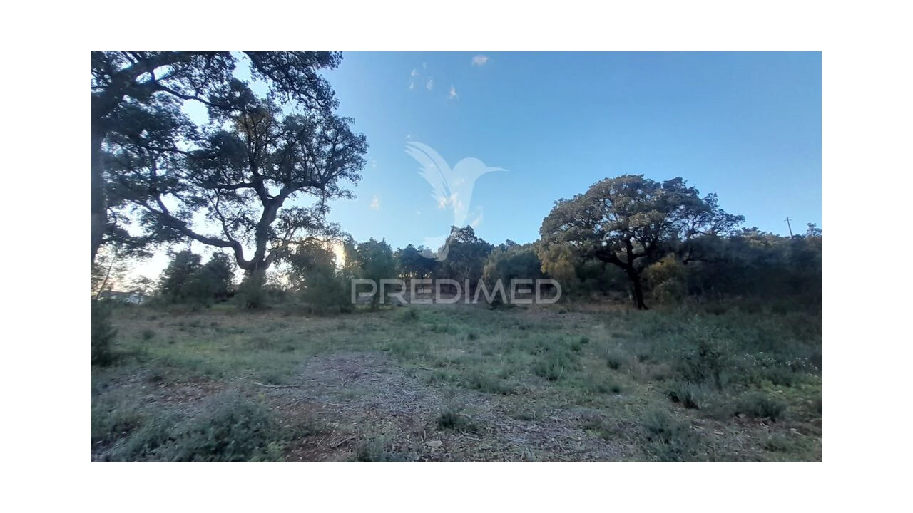 Terreno para Venda em Pero Viseu Foto 11