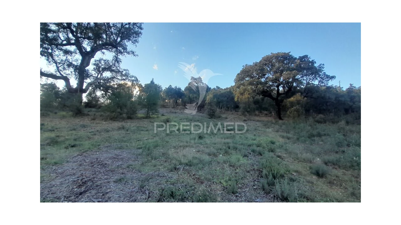 Terreno para Venda em Pero Viseu Foto 13