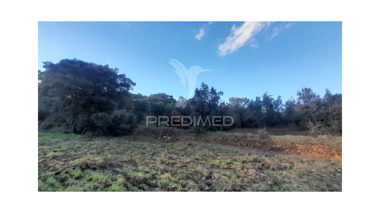 Terreno para Venda em Pero Viseu Foto 7