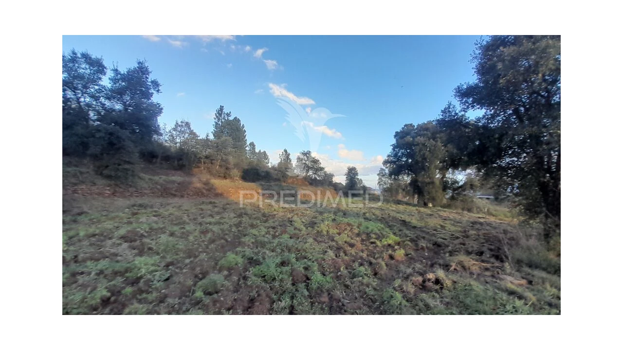 Terreno para Venda em Pero Viseu Foto 8