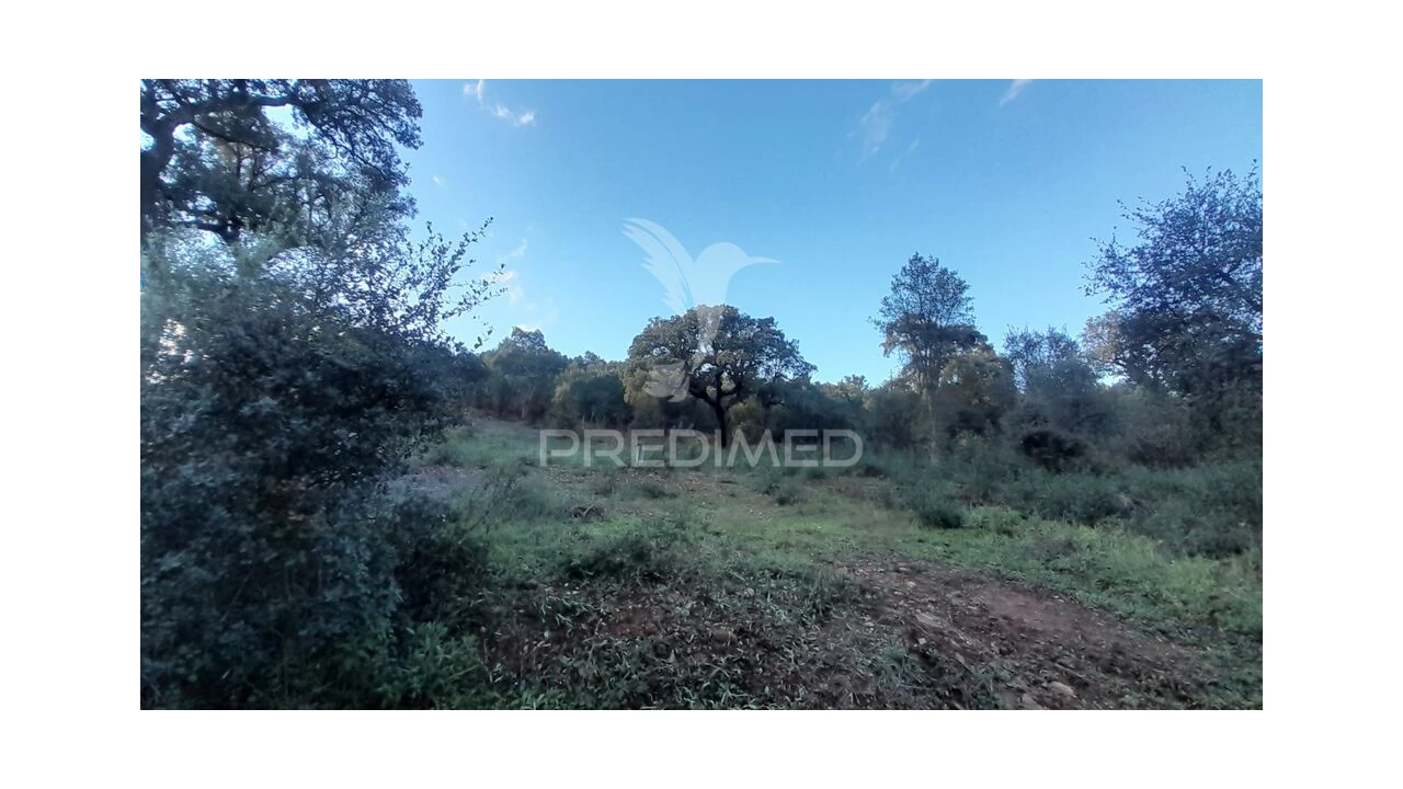 Terreno para Venda em Pero Viseu Foto 10