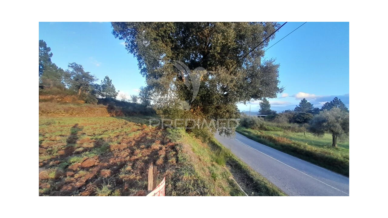 Terreno para Venda em Pero Viseu Foto 4