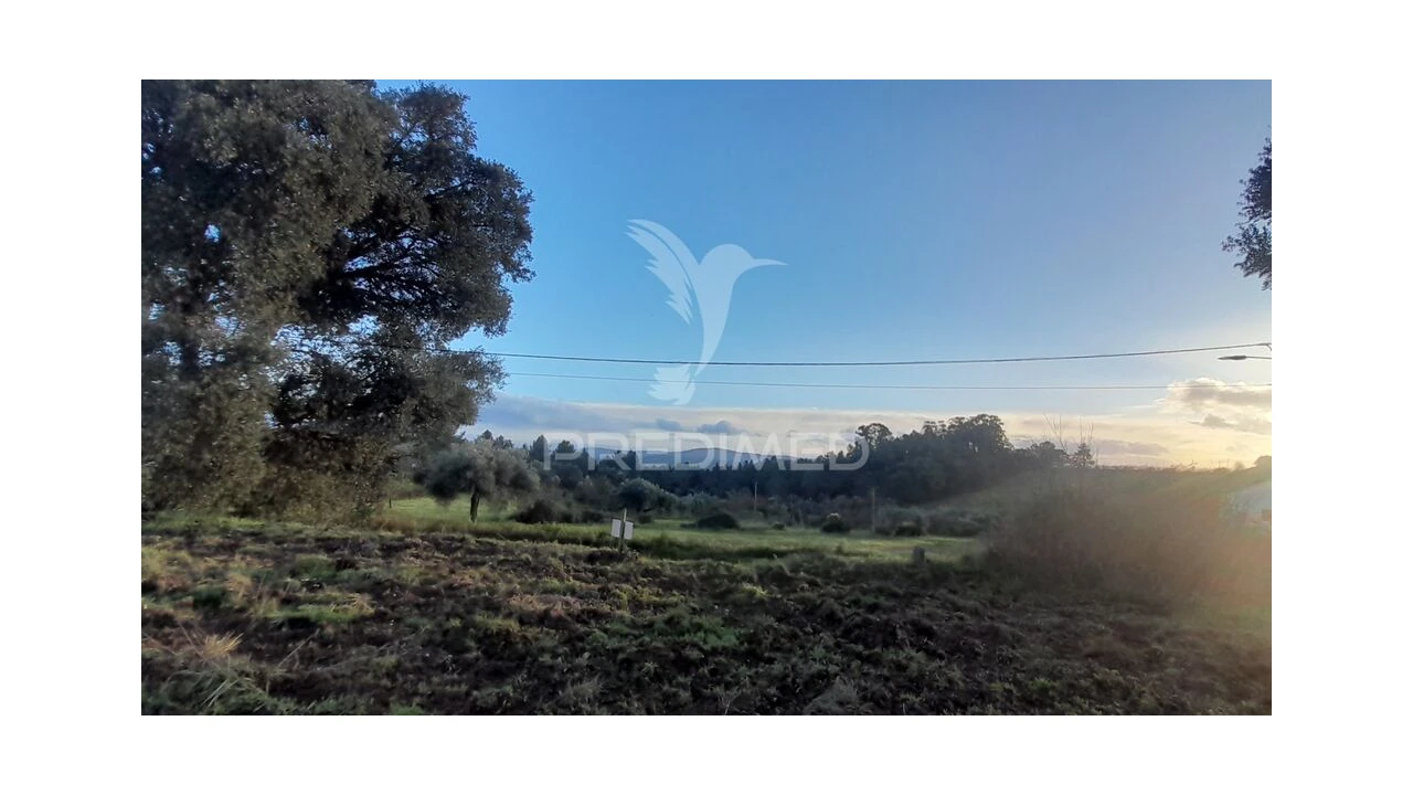 Terreno para Venda em Pero Viseu Foto 3