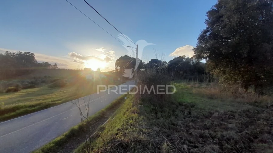 Terreno para Venda em Pero Viseu Foto 5