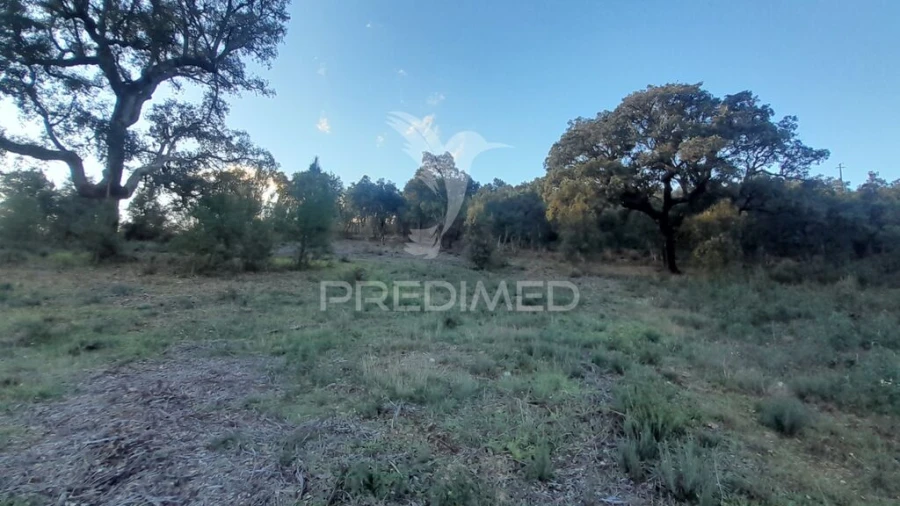 Terreno para Venda em Pero Viseu Foto 13