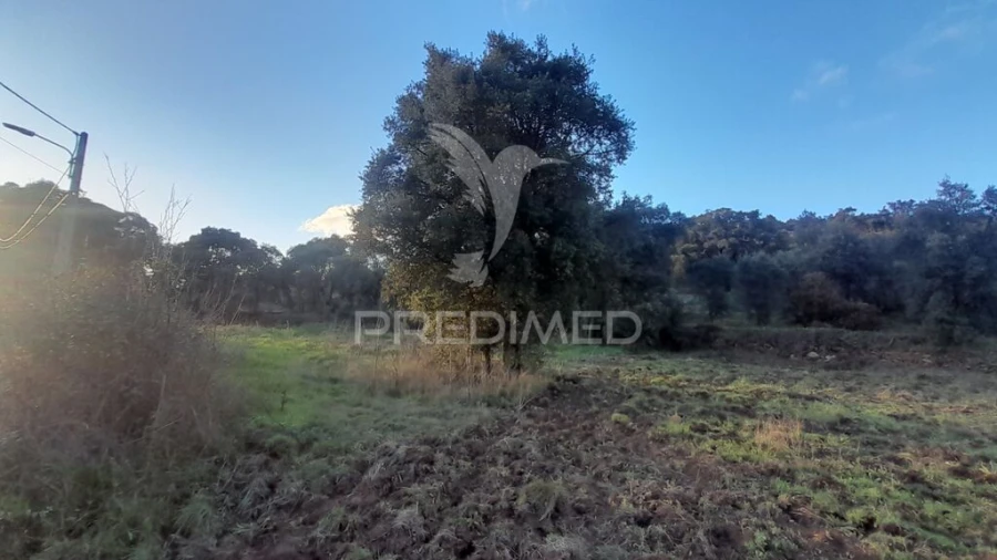 Terreno para Venda em Pero Viseu Foto 6