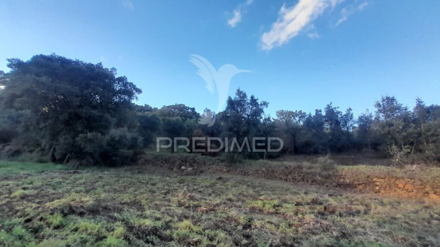 Terreno para Venda em Pero Viseu Foto 7