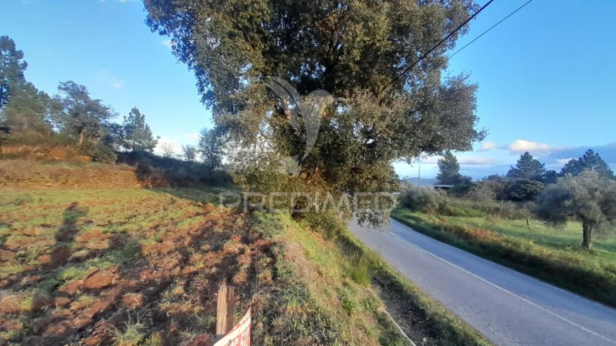 Terreno para Venda em Pero Viseu Foto 4