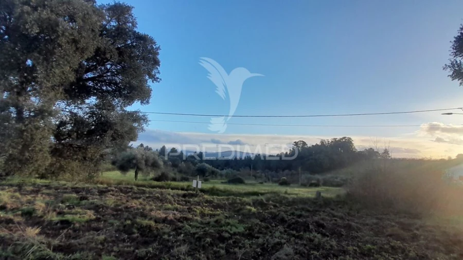 Terreno para Venda em Pero Viseu Foto 3