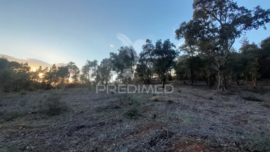 Terreno para Venda em Pero Viseu Foto 14