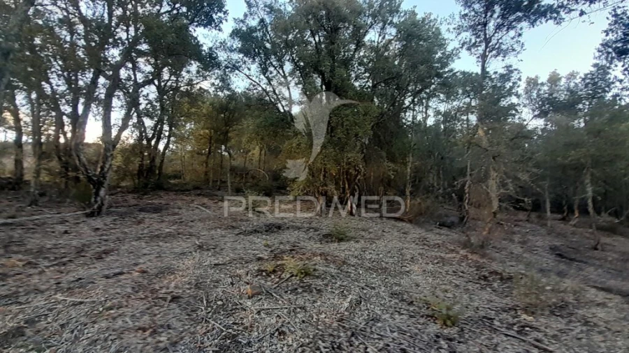 Terreno para Venda em Pero Viseu Foto 18
