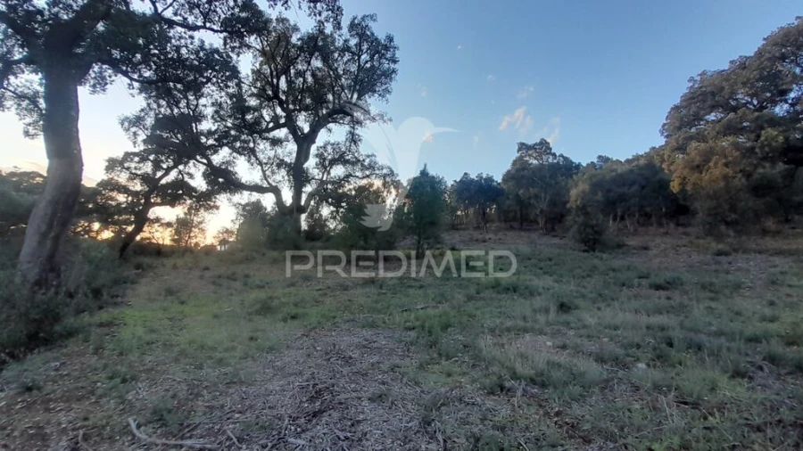 Terreno para Venda em Pero Viseu Foto 12