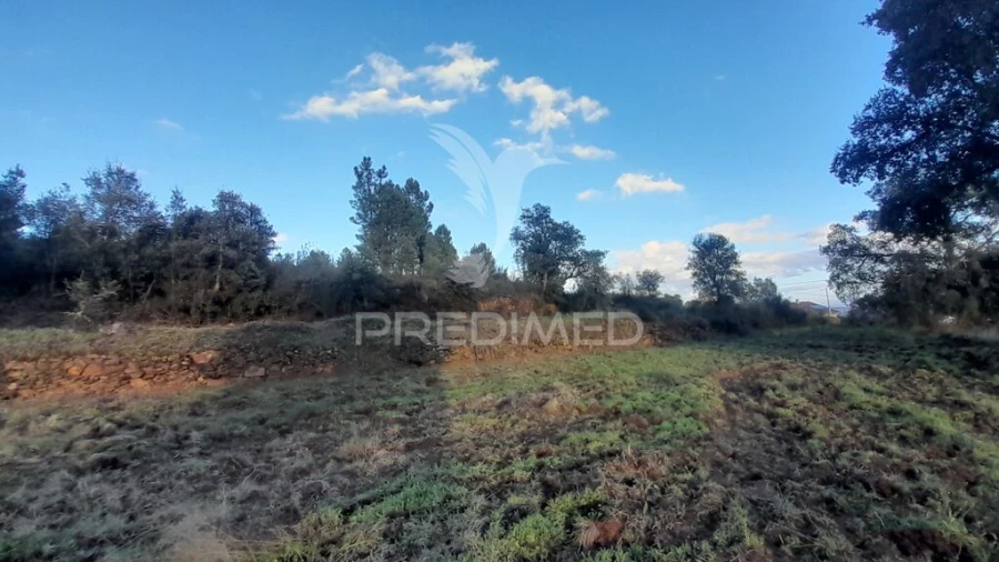 Terreno para Venda em Pero Viseu