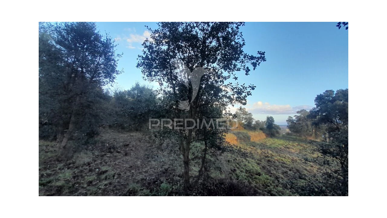 Terreno para Venda em Pero Viseu Foto 9