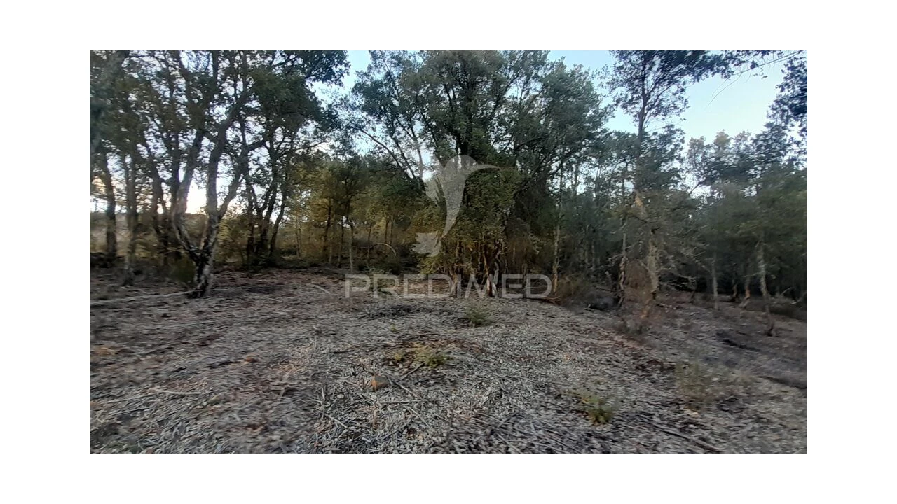 Terreno para Venda em Pero Viseu Foto 18