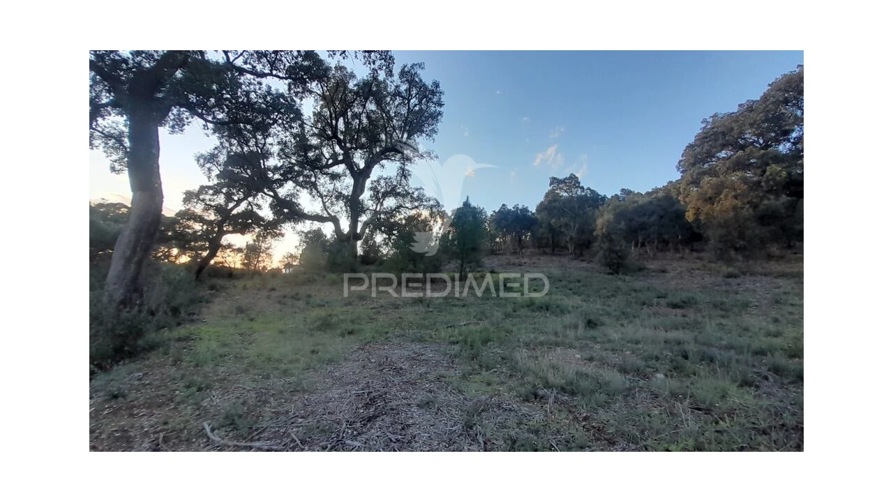 Terreno para Venda em Pero Viseu Foto 12
