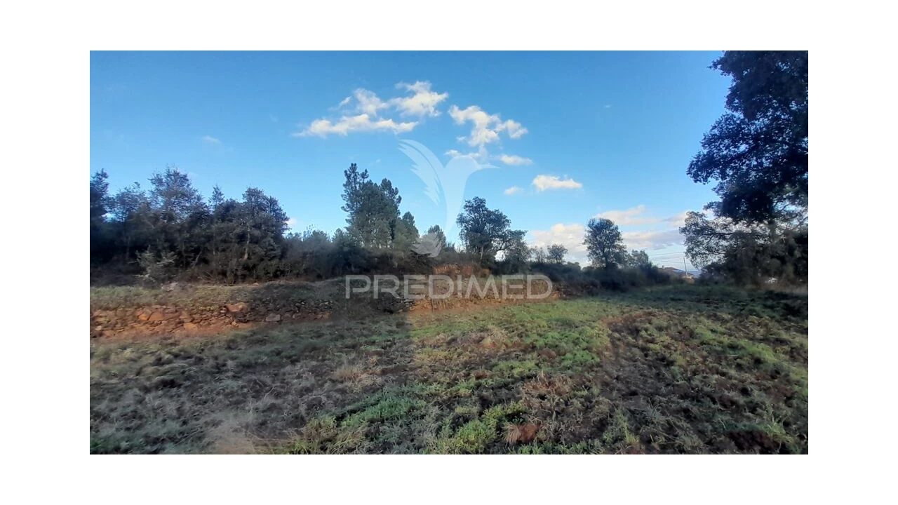 Terreno para Venda em Pero Viseu Foto 1