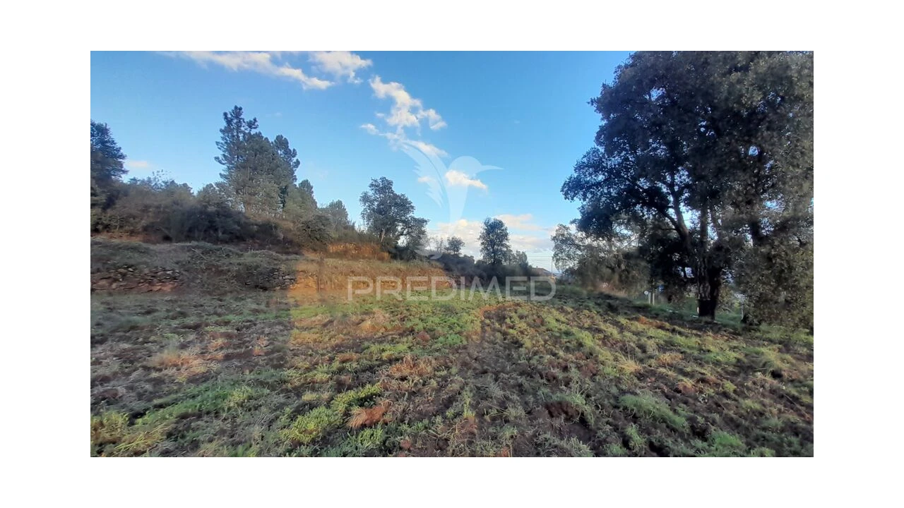 Terreno para Venda em Pero Viseu Foto 2