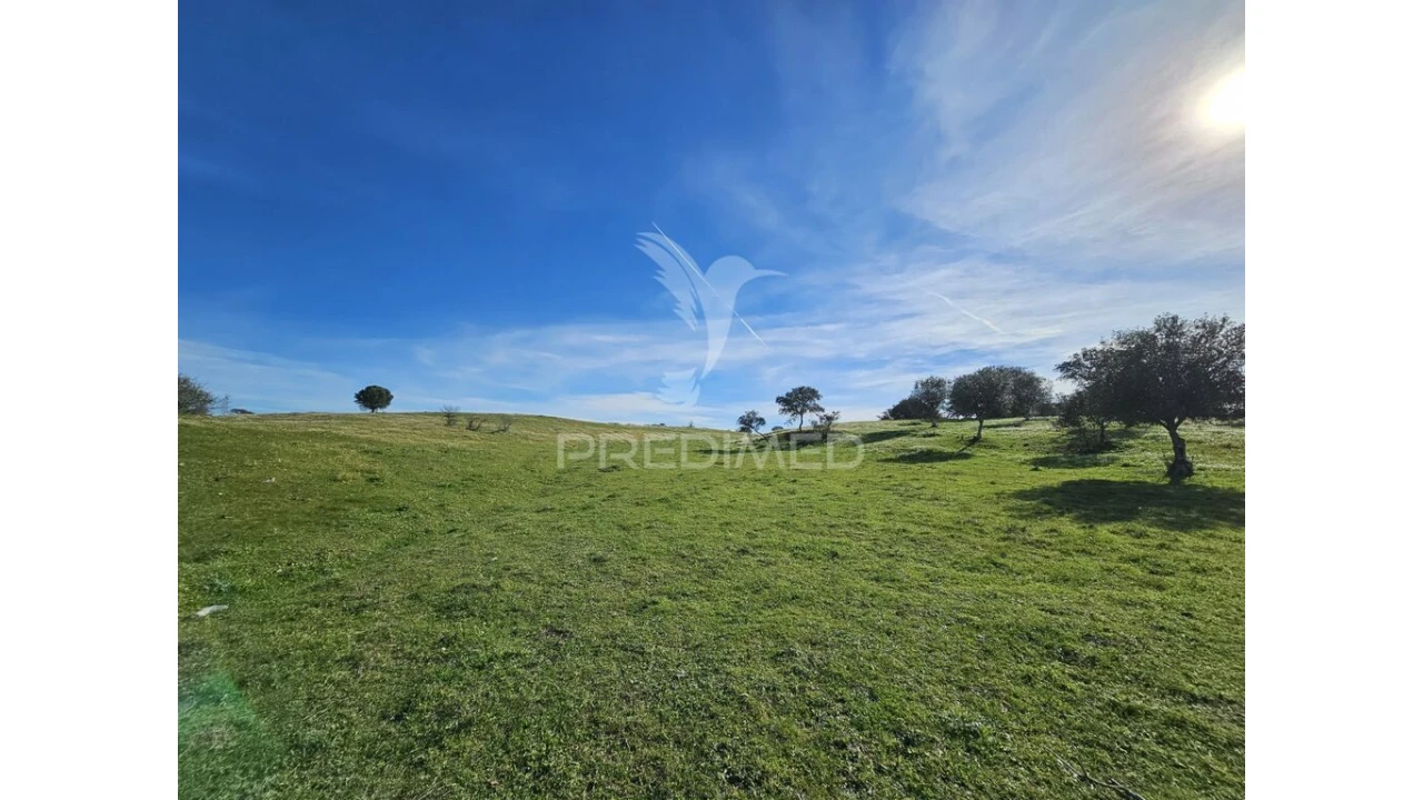 Terreno para Venda em Ourique Foto 20