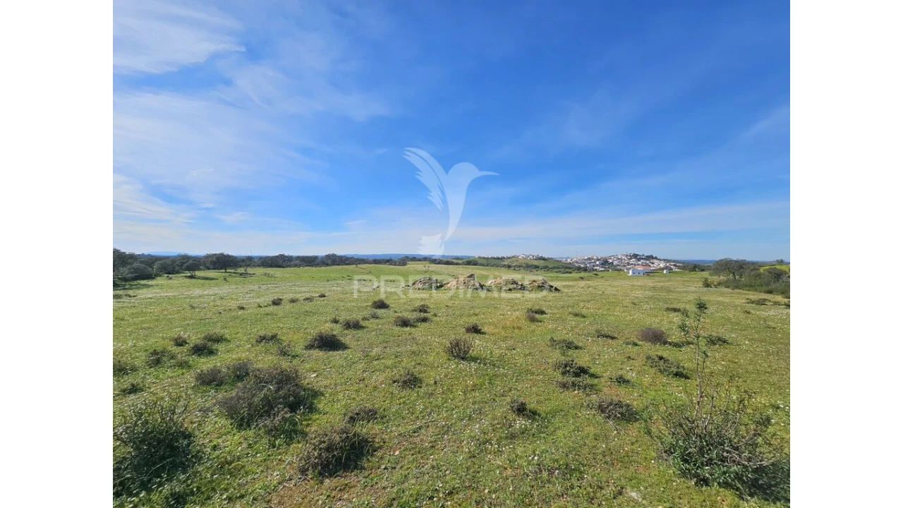 Terreno para Venda em Ourique Foto 4