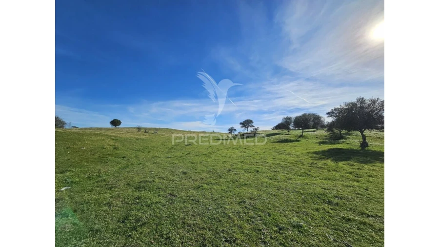 Terreno para Venda em Ourique Foto 20