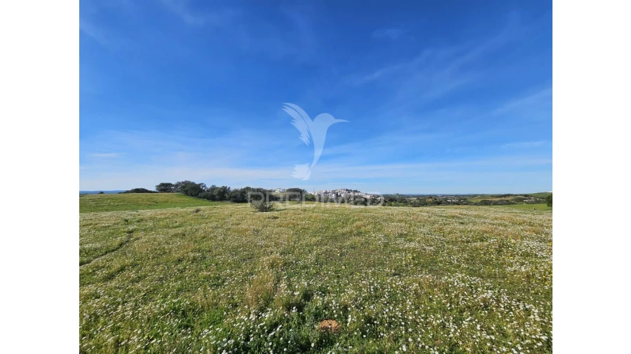 Terreno para Venda em Ourique Foto 14