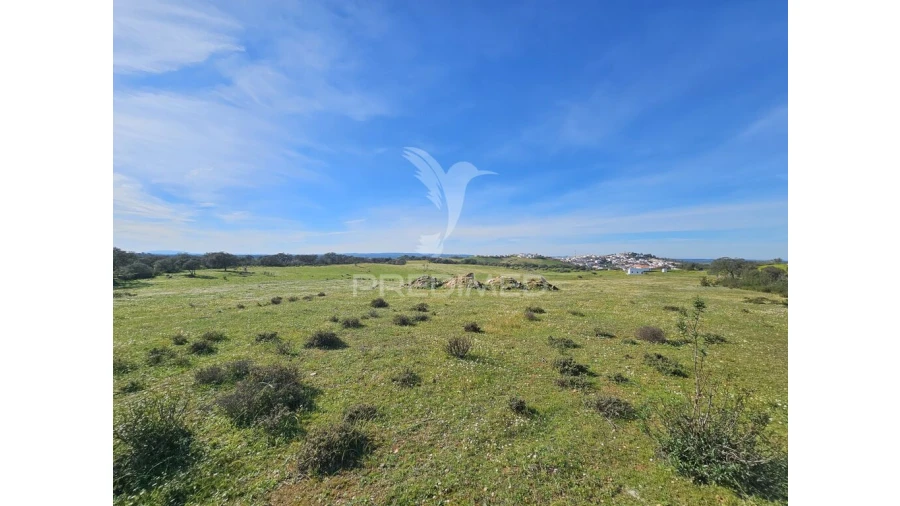 Terreno para Venda em Ourique Foto 4
