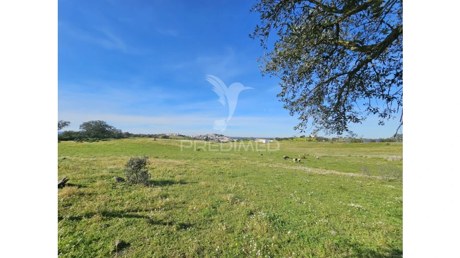 Terreno para Venda em Ourique Foto 9