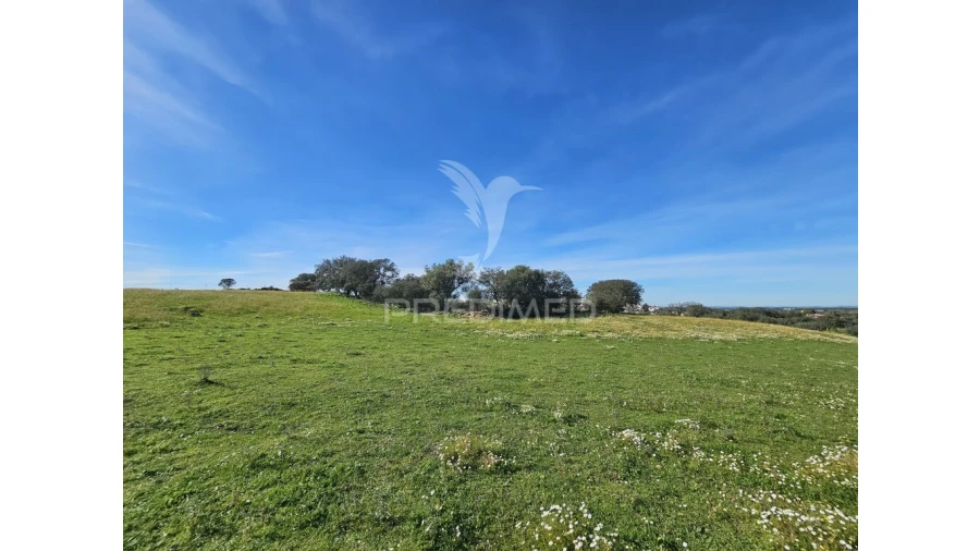 Terreno para Venda em Ourique Foto 15
