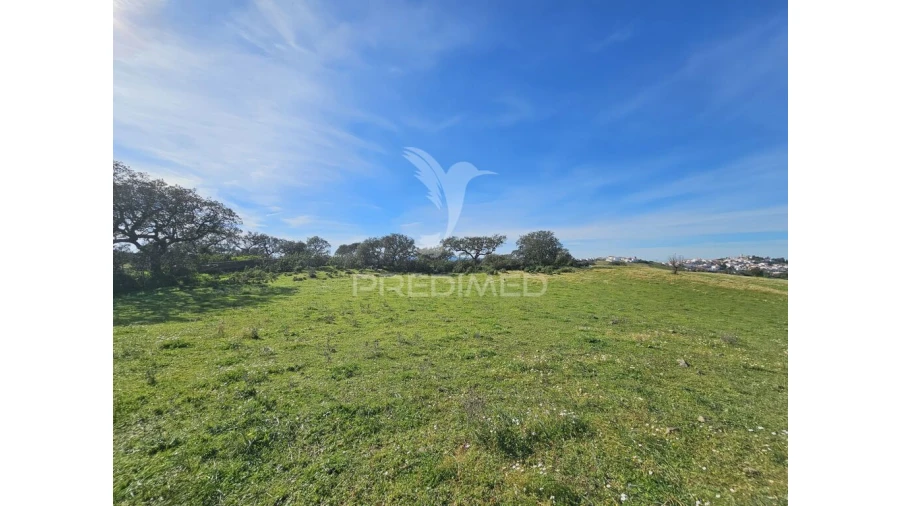Terreno para Venda em Ourique Foto 10