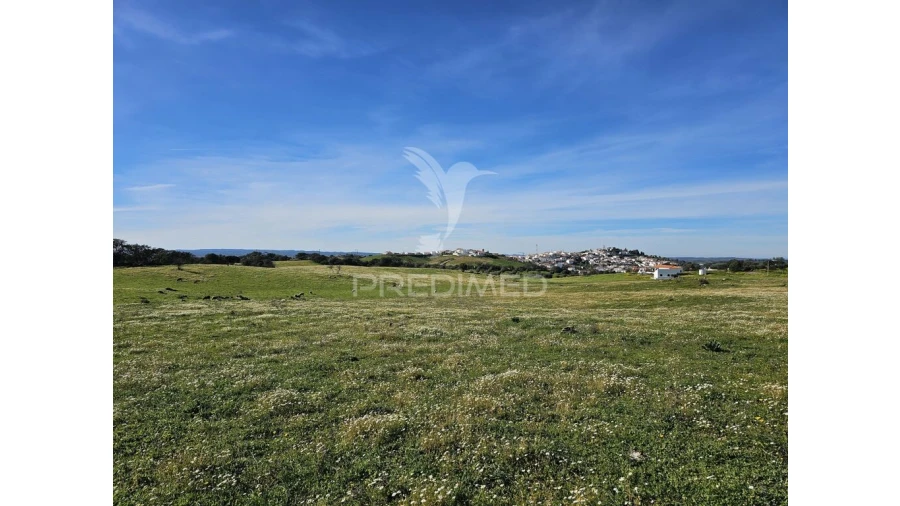 Terreno para Venda em Ourique Foto 5