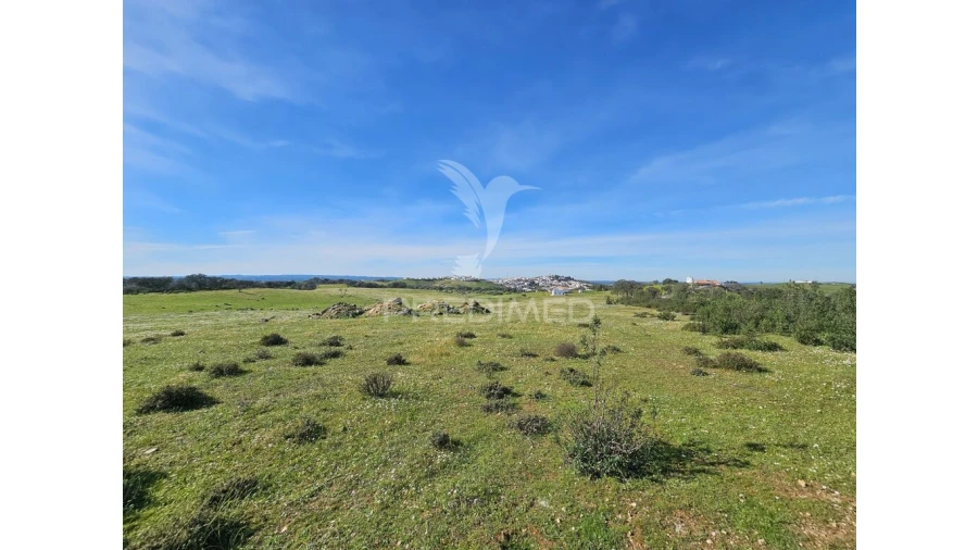Terreno para Venda em Ourique Foto 3