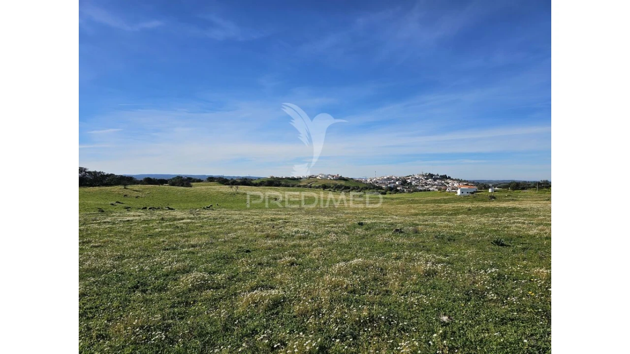 Terreno para Venda em Ourique Foto 5