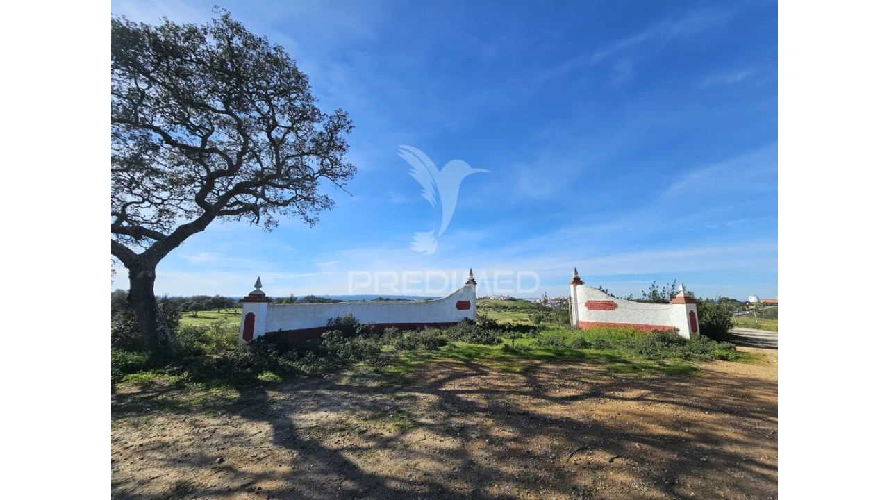 Terreno para Venda em Ourique Foto 1