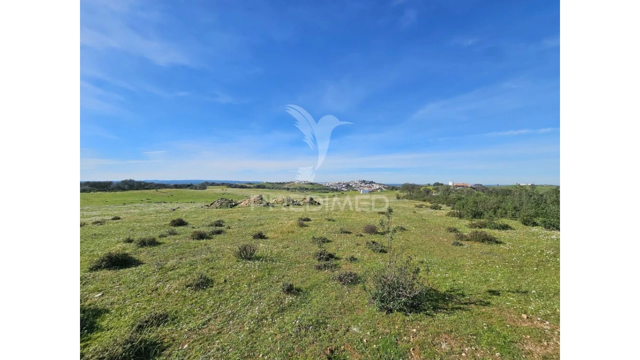 Terreno para Venda em Ourique Foto 3