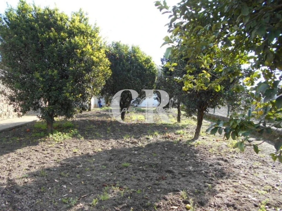 Moradia T4 para Venda em Figueiró dos Vinhos e Bairradas Foto 63