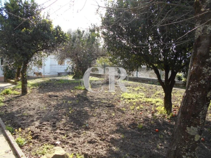 Moradia T4 para Venda em Figueiró dos Vinhos e Bairradas Foto 64