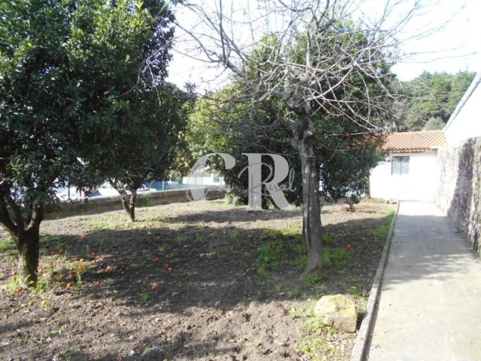 Moradia T4 para Venda em Figueiró dos Vinhos e Bairradas Foto 60